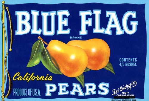 Blue Flag