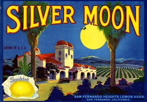 Silver Moon