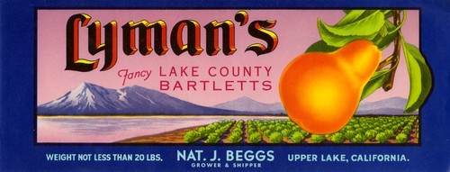 Lyman's