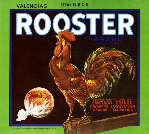 Rooster