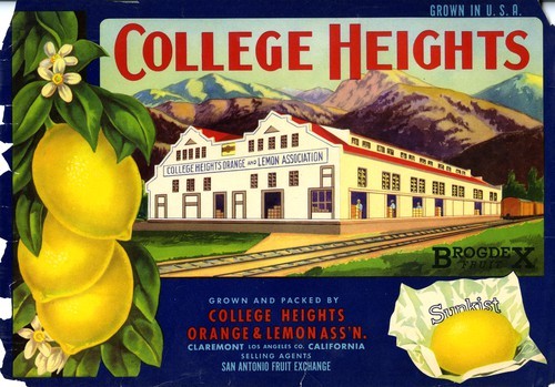 College Heights