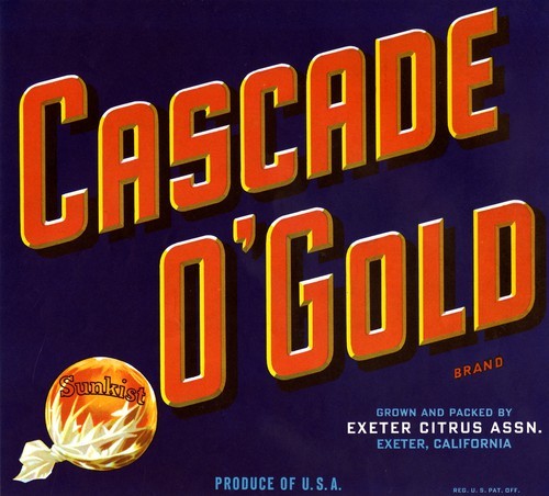 Cascade O'Gold