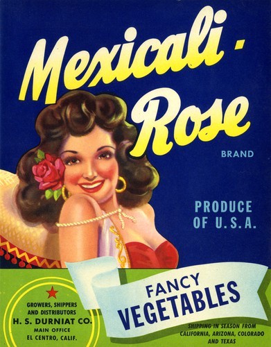 Mexicali-Rose