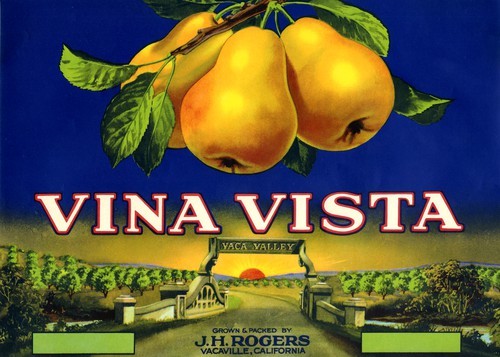 Vina Vista