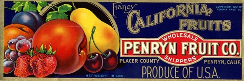 Fancy California Fruits