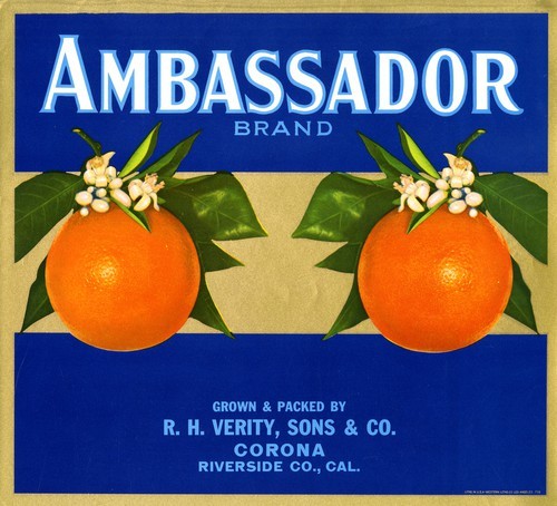 Ambassador