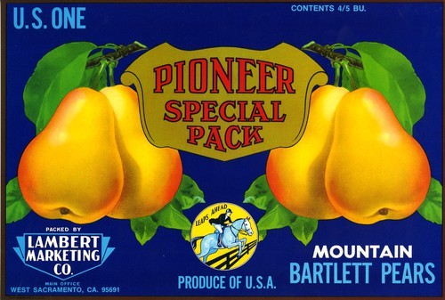 Pioneer Special Pack