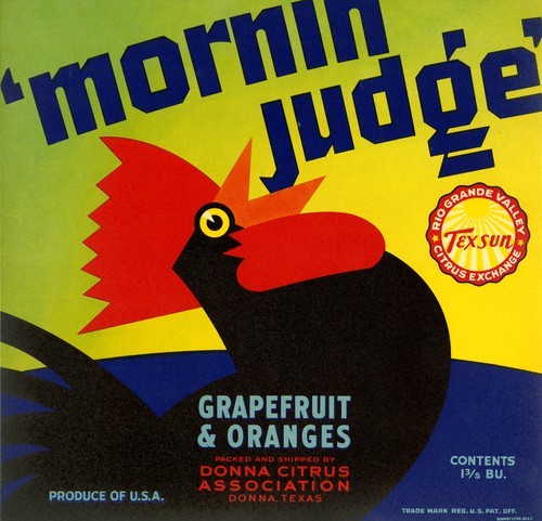 Mornin Judge