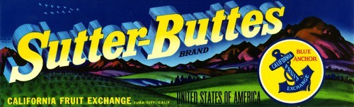 Sutter-Buttes