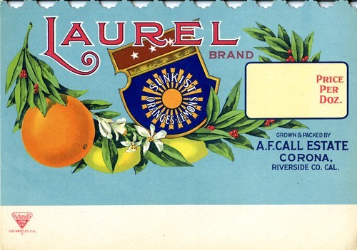 Laurel