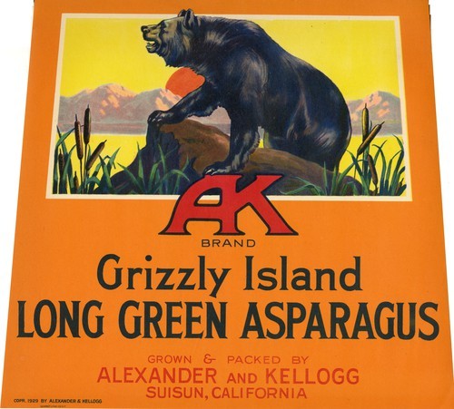 Grizzly Island