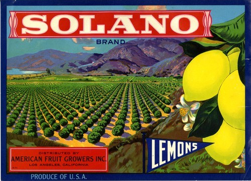 Solano