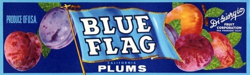 Blue Flag