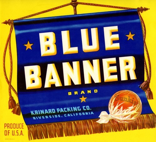 Blue Banner