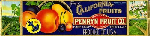 Fancy California Fruits