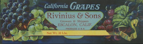 Rivinius & Sons