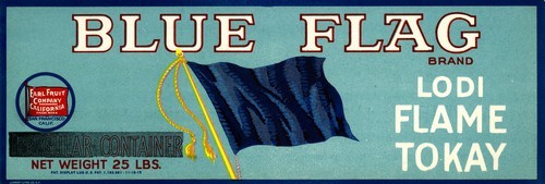 Blue Flag