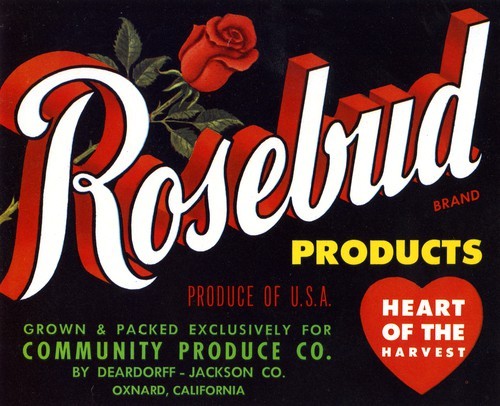 Rosebud