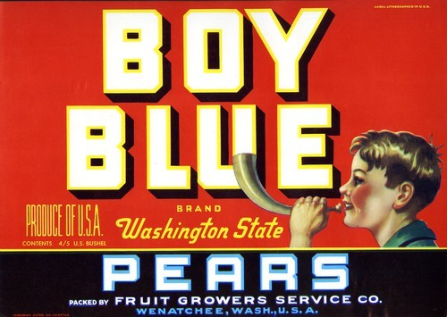 Boy Blue