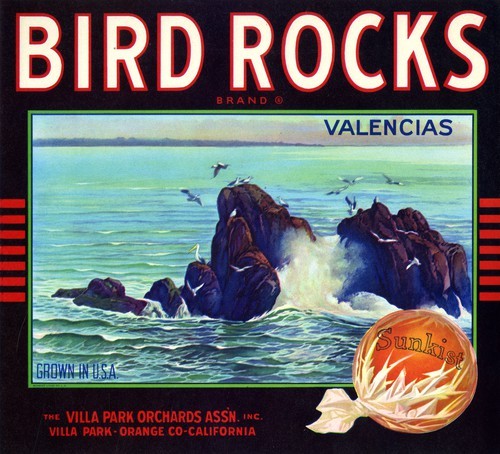 Bird Rocks