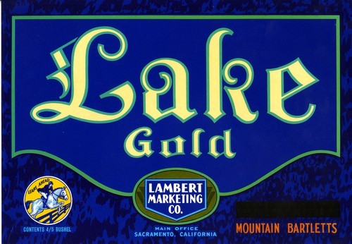 Lake Gold