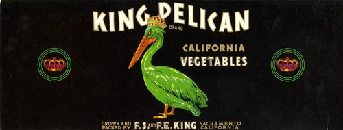 King Pelican