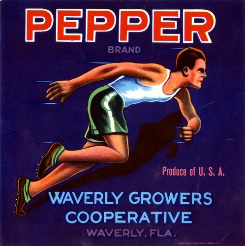 Pepper