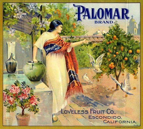 Palomar