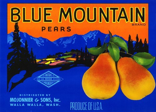 Blue Mountain