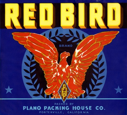 Red Bird