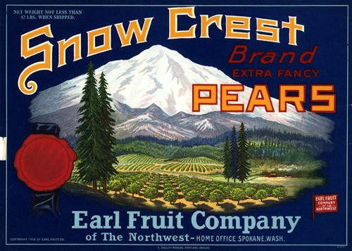 Snow Crest