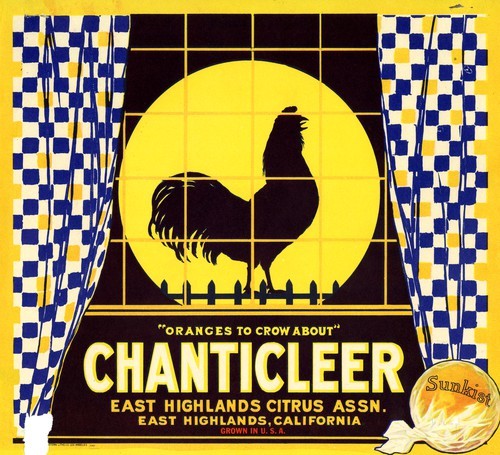 Chanticleer