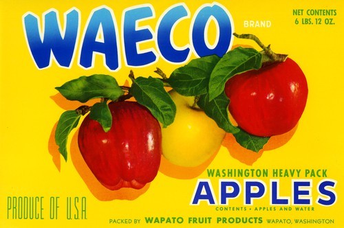 Waeco Brand