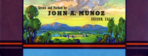 John A. Munoz