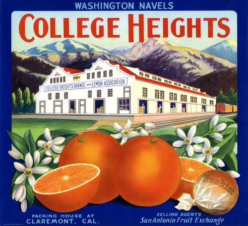 College Heights