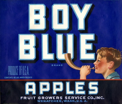 Boy Blue