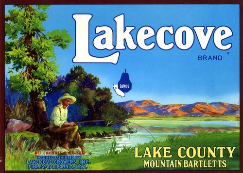 Lakecove