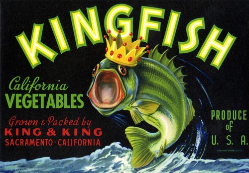 Kingfish