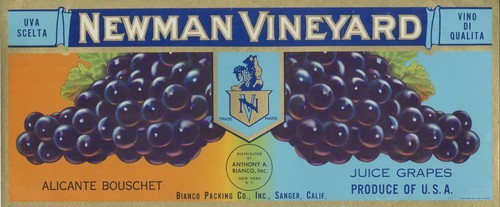 Newman Vineyard