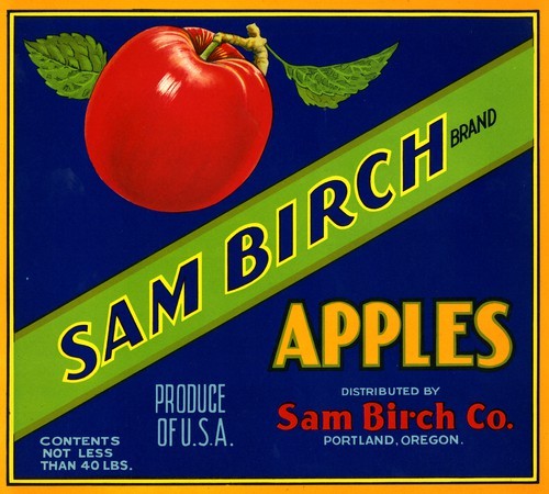 Sam Birch