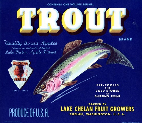 Trout