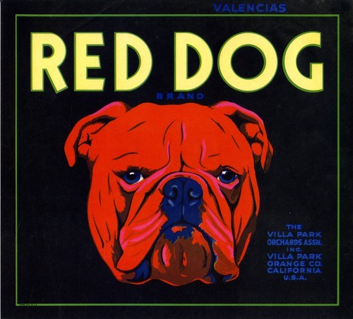 Red Dog