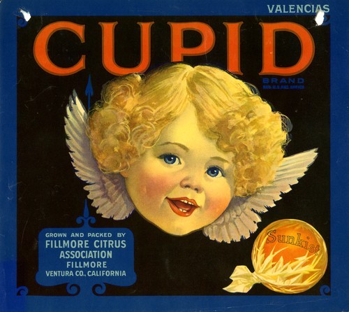 Cupid