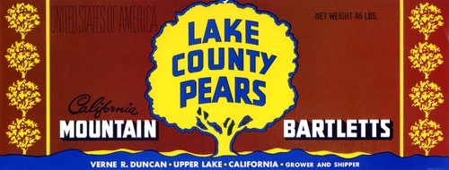 Lake Coun Pears