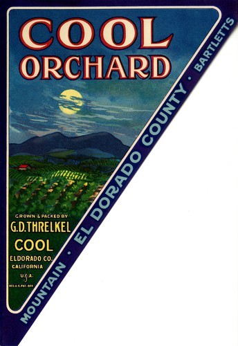 Cool Orchard