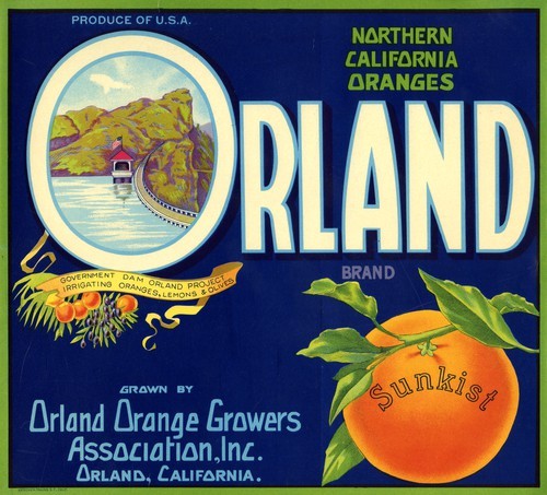 Orland