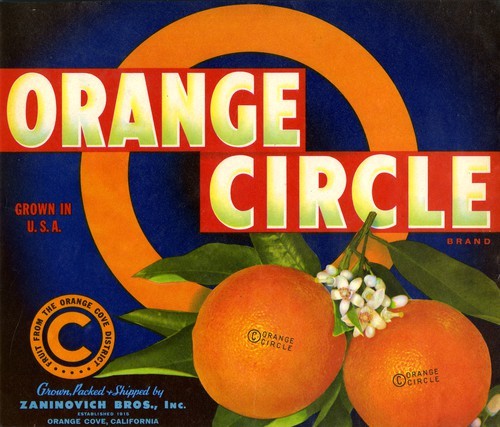 Orange Circle