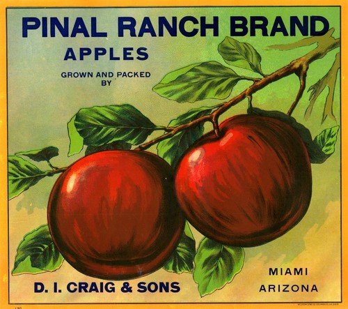 Pinal Ranch Brand