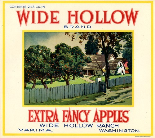 Wide Hollow