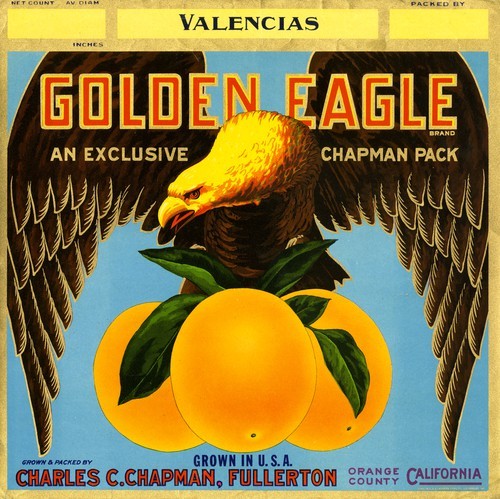 Golden Eagle